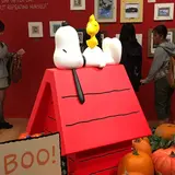 あみんこ