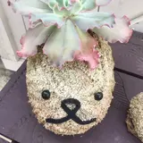 もも