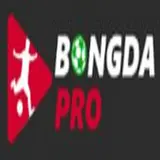 nhandinhbongdapro