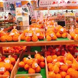 芦北高校お弁当開発チーム☆