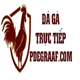 ĐÁ GÀ TRỰC TIẾP TẠI