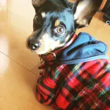 HIRAME