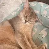 はるか