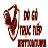 ĐÁ GÀ TRỰC TIẾP 
