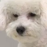 You