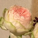 さとー
