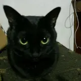 たま