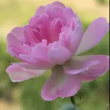 アイ