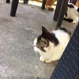 まりか