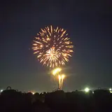 さくらい