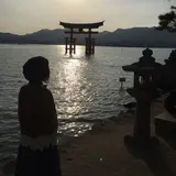 まゆみどん