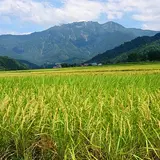 amainunishimizu