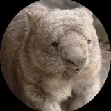 ウォンバッツ(犬好き)