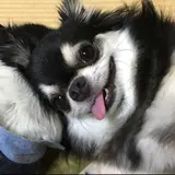 つーさん