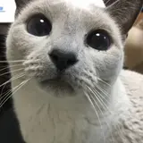 Yumi.K