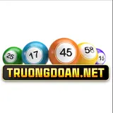 truongdoannetvn