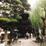 なめこ