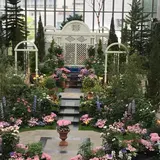 きなことリリー
