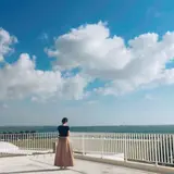 まほ
