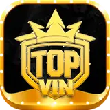 TOPVIN it com