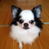 hiro