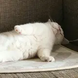 リタ