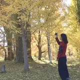 もも