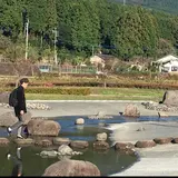 ぴろちゃん