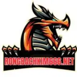 Rồng bạch kim 666