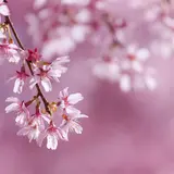 日向ぼっこ