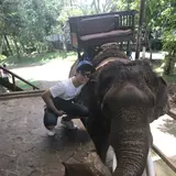かとやん