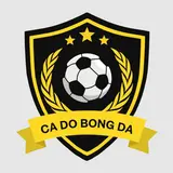 Web Cá Độ Bóng Đá