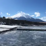 catchcatch