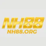 NH88 San