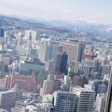 たけのこの里