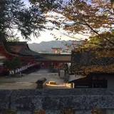 わーわーわー