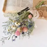 なつ
