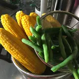 とうもろこし