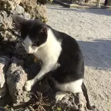 min