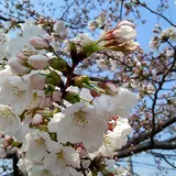 ❉ひなたぼっこ❉