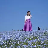 ぱんなこった
