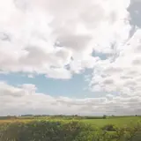 ますみ