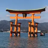 つばき笑店