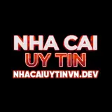nhacaiuytinvndev