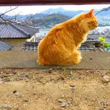ゆう