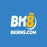 bk8ins.com