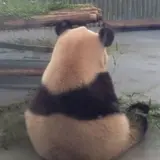 前川ヤスタカ