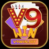 V9win Diy