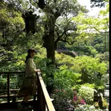 ゆきまる