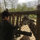 アメリカらいふ🇺🇸